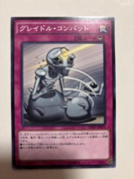 �V�Y���y㩁E�O���C�h���R���o�b�g�z