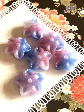 �V�[�����O���b�N�X�@���@���@�@�O���f�[�V�����@6��