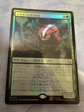 MTG FOIL �A�i�O�}���O���̎e