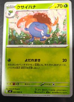 �N�T�C�n�i