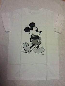 ެΰҲށ~DisneyڰЯT