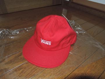 Vi VANS @Y Lbv  Xq nS LOGO Flying-V Emb. Low Cap