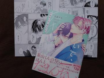 BL*リーフレット付【やめないで茶山くん】甘夏すみ