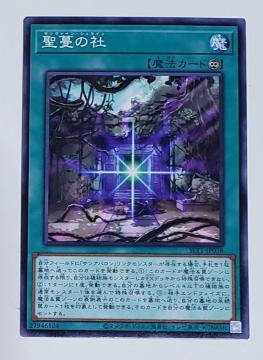 Õi@VYfGX^[Y@̎Ё@16