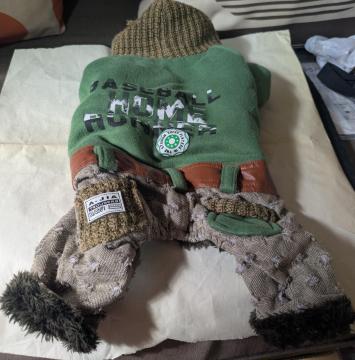 ���^���p���R���R�Ȃ����@L