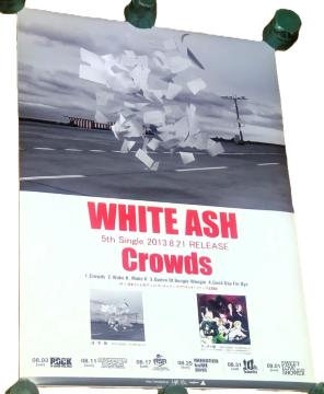 WHITE ASH CD Crowds Kb`}NEY B2̑|X^[