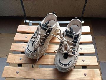 Vi 22.5cm fB[X Xj[J[ uE V[Y C [Jbg