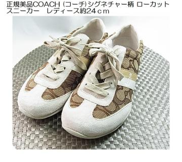 ǕiKiCOACH (R[`)VOl`[ [JbgXj[J[@fB[X24