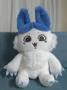 p[hBIGʂ݁@n`inL