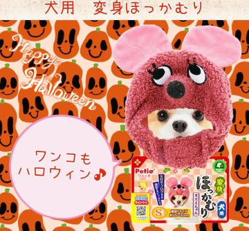 ppقނ聚ϐgObYlY~񁚉nEBybgLybgpObYVigp
