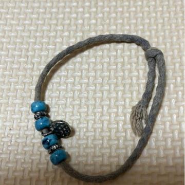 �^�[�R�C�Y�̃u���X���b�g