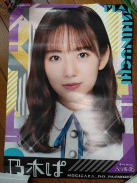 KYORAKU ς T؂ T؍46 |X^[ V 񔄕i