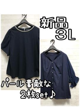 Vi3L􍮌np[킢􂫂ꂢ߃gbvX2ZbgD966