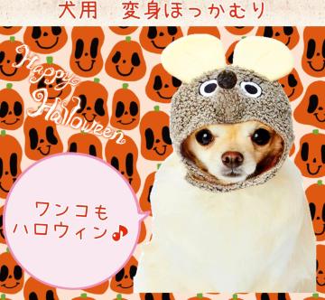 ppقނ聚ϐgObYlY~񁚉nEBLybgpObYVigpybg