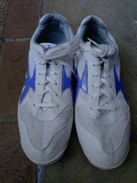 ���[���X�^�[  �������� �̈�ٗ���  ����  �w�Z�s��  ���Ǝ�  �X�|�[�c�W��  ���F  �قږ��g�p�i  �󏭃T�C�Y�Q�Xcm