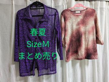 []wl/tĂ܂Ƃߔ/Sizel//