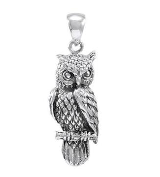 NEBULA Naturefs wise representation Owl