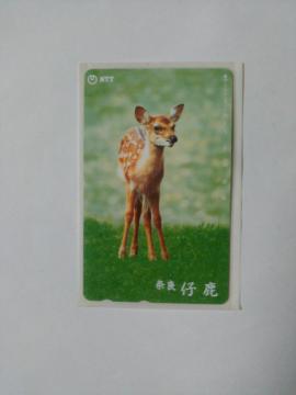 ☆☆テレホンカード 50度数 仔鹿 未使用品