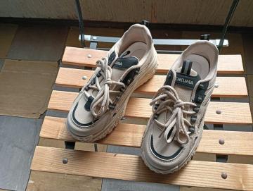 Vi 23.5cm fB[X Xj[J[ uE V[Y C [Jbg