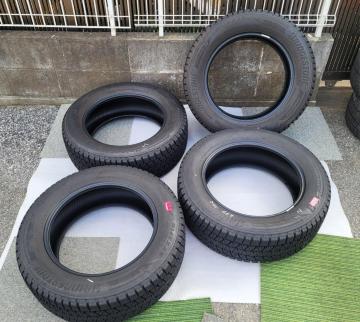 oaIN20  uaXg uUbN DM-V3  17C`X^bhX^C225/60R17 99Q ^Ĉ4{