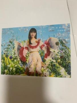 �T�؍�46 ��{�@���@���ʐ^�@�`�[�g�f�C�@�Z�u���l�b�g