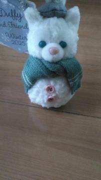 ���]�[�g�V�[�N���b�g�I�u�X�m�[�E�B�[�f�C�W�F���g�[�j�ʂ�����݃`���[��