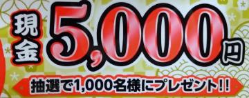 ����5000�~������/1��