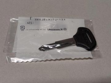 Ki@Vi@@JTL KAWASAKI@i GXg250 uNL[ XyAL[  @@oCN