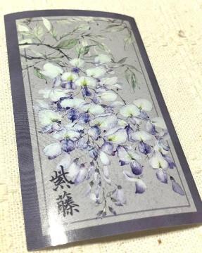 �V�[��1��