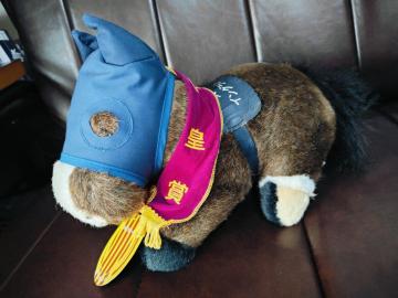 �C���O�����f�B�[��S ���n �n �ʂ������ ��129�� �V�c��