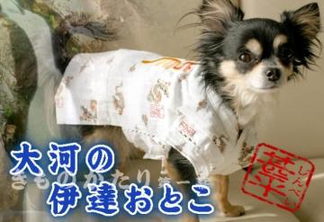 ANNY'S DOGS hJ̐r 2SVi `2kg