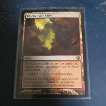 ������̊R