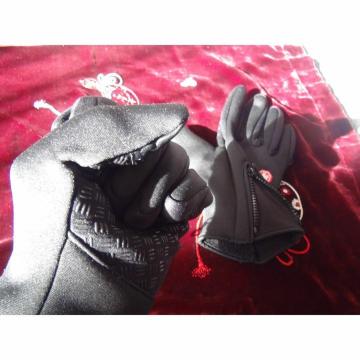 WINDS SPORTS YC̎ jph ŋ oCN X}z ! B