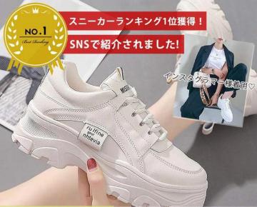 GfځrʁyViz_bhXj[J[Xj[J[ C _bhV[YAC{[ x[W23.5cm 24cm؍