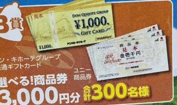 �^�C�A�b�v���h���L�z�[�e���j�[���i��/3000�~300���l1��