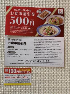 1100~  K[nbg  HN[| 500~ 2 2026.2.28 100~N[| 1