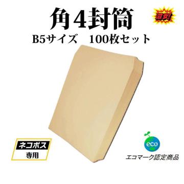  B5TCY p4 100  F  Ɩp ip `V Xp