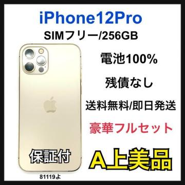 A 100% iPhone 12 Pro 256 GB SIM�t���[ �{��