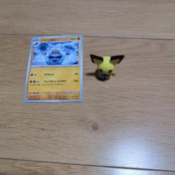 |PJ[hƃ|P܂Ƃߔ2Zbg