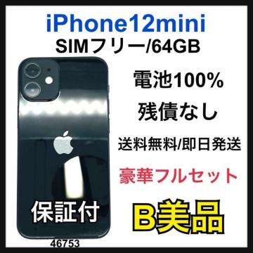 B 100% iPhone 12 mini 64 GB SIM�t���[ �{��