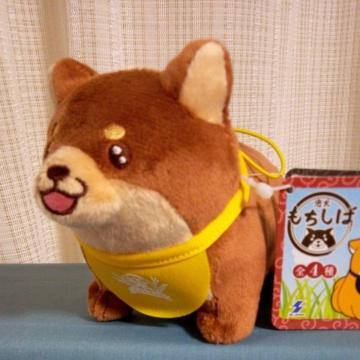 �����������΁@�������񂵂��ۃ}�X�R�b�g�A