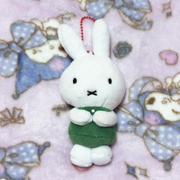 miffy ʂ }XRbg L[z_[