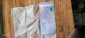 JCBMtgJ[h@1000~@|CgɂœK