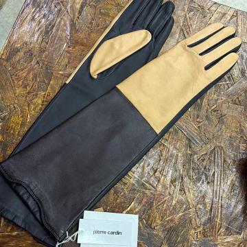 Vi@8 {v܁@wl܁@sG[J_ cardin ͂20cm O^Cv@܁@~@SݓX܁@X}[g