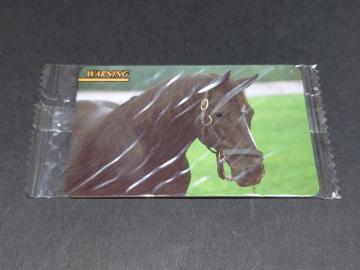 �y���J���z�܂˂��n��y�� �܂˂��n�J�[�h ���M�����[�J�[�h No.541 �E�H�[�j���O / �O���n �퉲�n