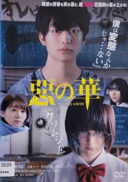 DVD@̉