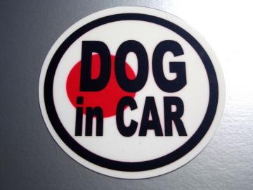 DOG in CAR{XebJ[  Ă܂̊