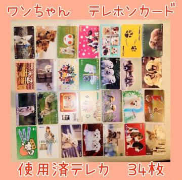 使用済テレカ★テレホンカード★ワンちゃん★犬★Dog★わんこ★インテリア★マニア★テレホンカード使用済★テレカ使用済★送料無料