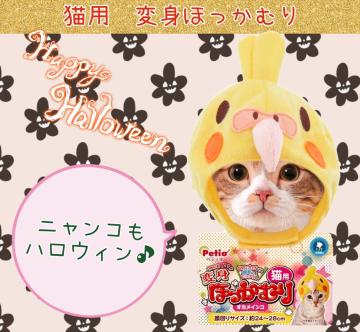 猫用★ネコちゃん用★ほっかむり★変身グッズ★オカメインコ★ハロウィン★可愛い★ペット用仮装グッズ★ペット★新品未使用★送料無料