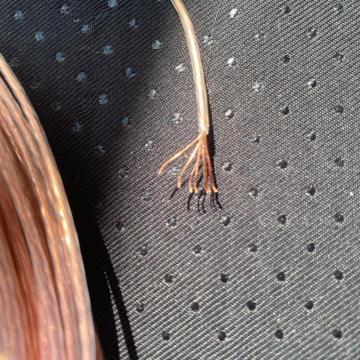 �����x8N�����⃁�b�L�����X�s�[�J�P�[�u����10m��